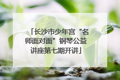 长沙市少年宫“名师面对面”钢琴公益讲座第七期开讲